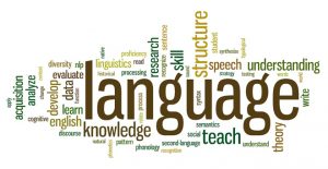 linguistic and Translation